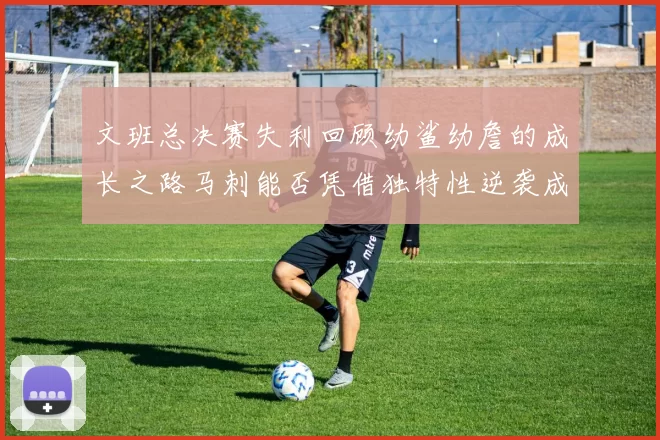 文班总决赛失利回顾幼鲨幼詹的成长之路马刺能否凭借独特性逆袭成功
