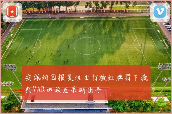 安佩姆因报复性击打被红牌罚下裁判VAR回放后果断出手